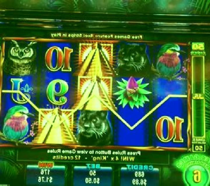 Rich n Wild slot machine