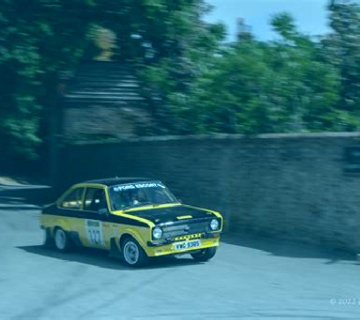 Rico Gorila slot