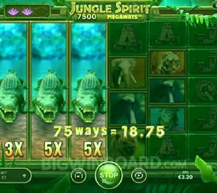 Royal Coins Hold and Win slot