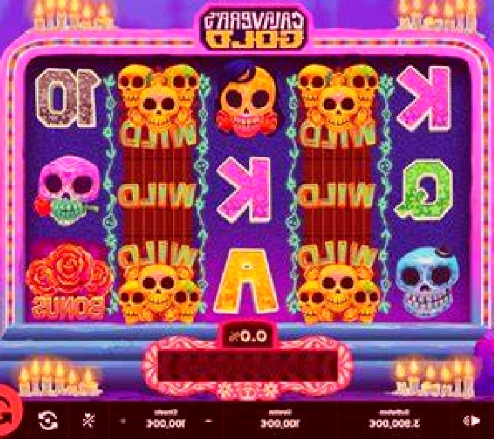 Safari Coins slot