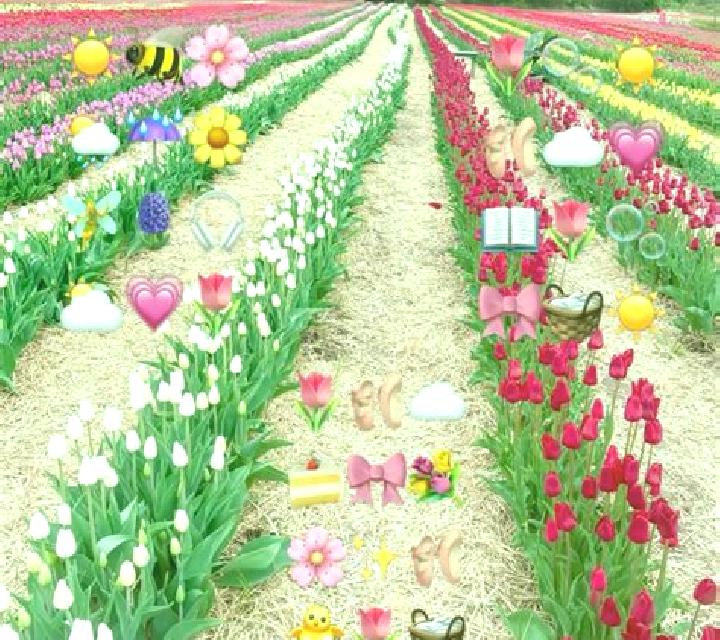 Springtime Combos online slot