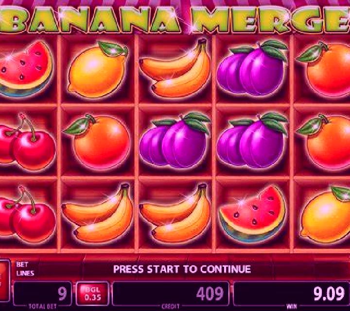 Stein Haus slot machine