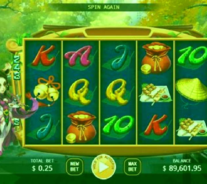 Tanuki Tavern slot