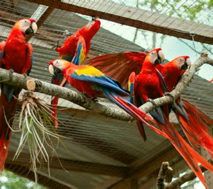 Texas Hedge Em slot machine