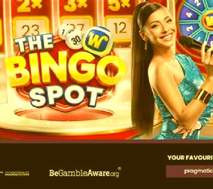 The Bingo Spot slot