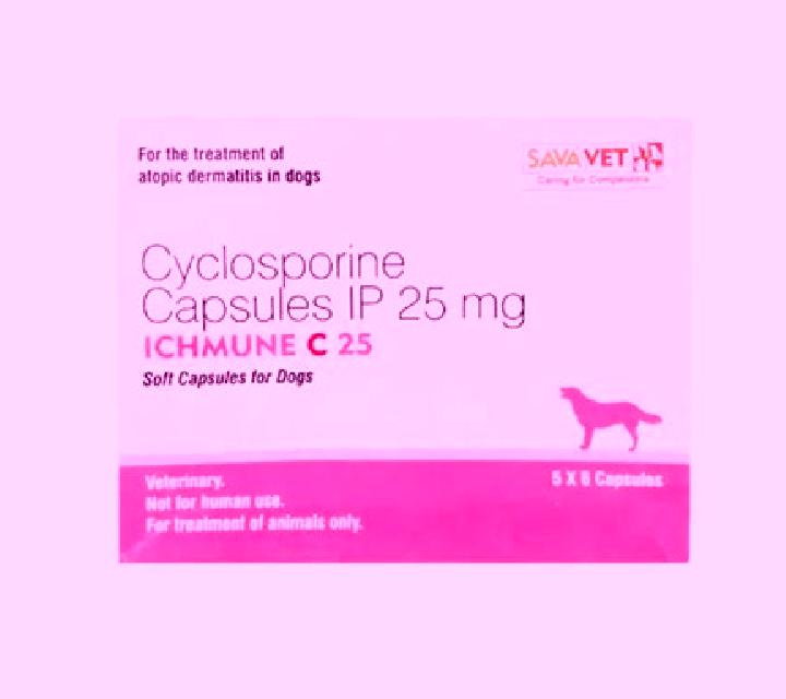 The Dog Heroes online slot