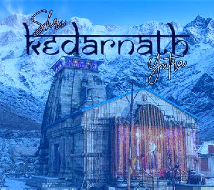 The Wild Life slot