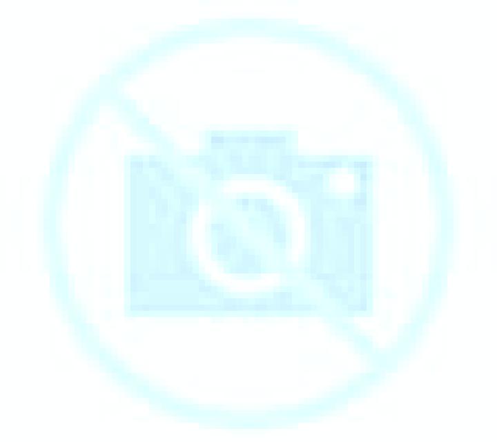 Tiger vs Bear slot