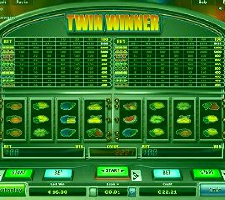 Twin Winner slot