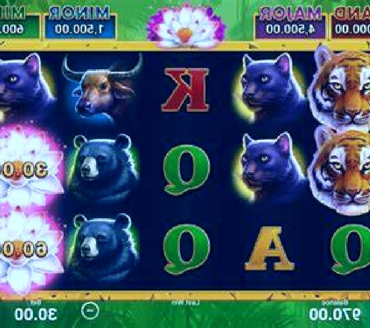 Two-Faced Dragon slot