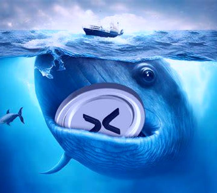 Whale Crash online slot