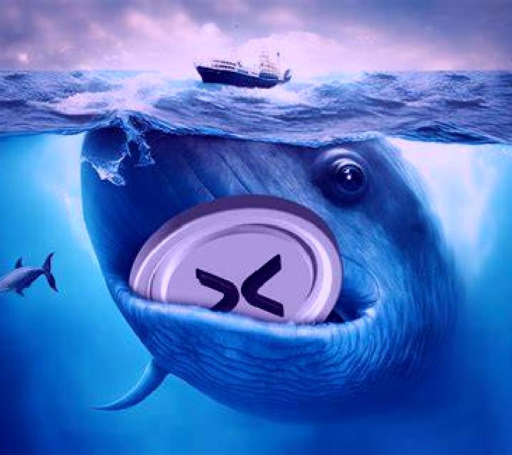 Whale Crash slot machine