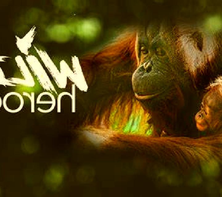 Wild Heroes online slot