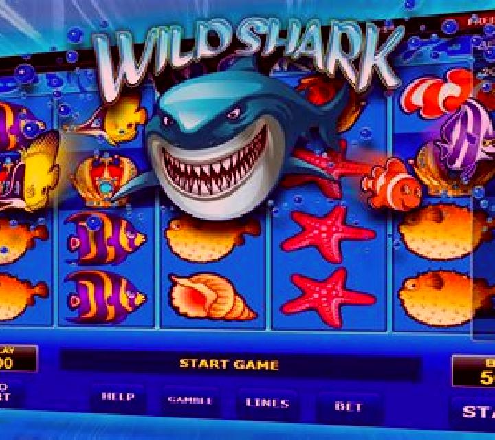 Wild Shark slot machine