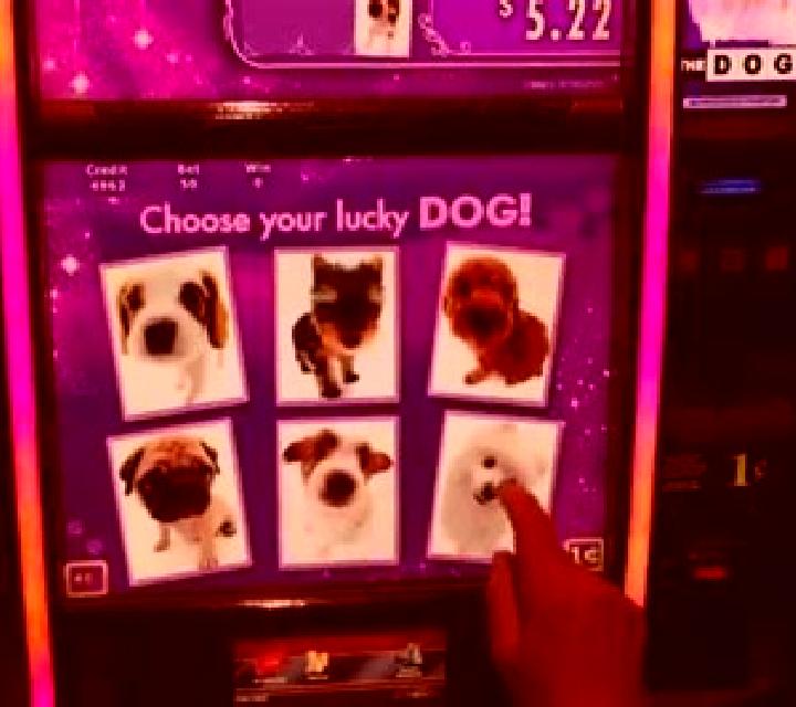Winter Star online slot