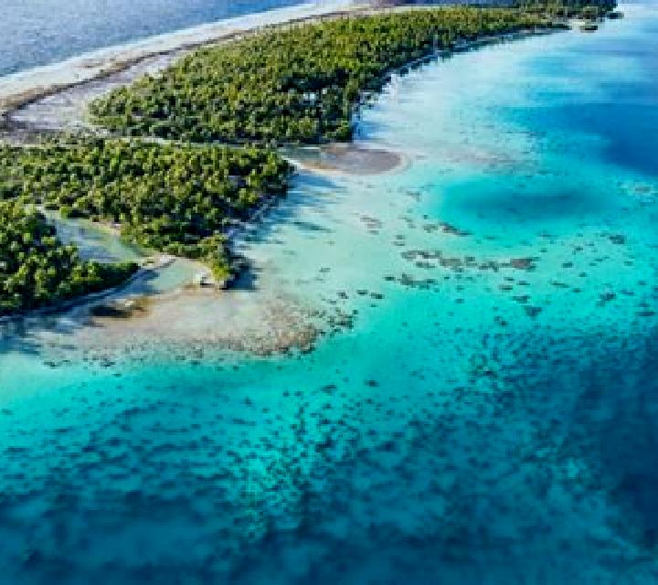 Zeus Fortuna slot game